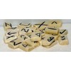 Casting Magic Water Buffalo Bone 25 Piece Elder Futhark Rune