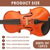 Violin Strings 4/4 Set 12Pcs Violin Full Size Strings Kits