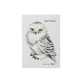 Pagna Friendship Book Owl 60S White 20369-15