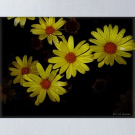 CafePress Yellow Garden 18"x18" Reusable Grocery Shopping Sling Tote Bag