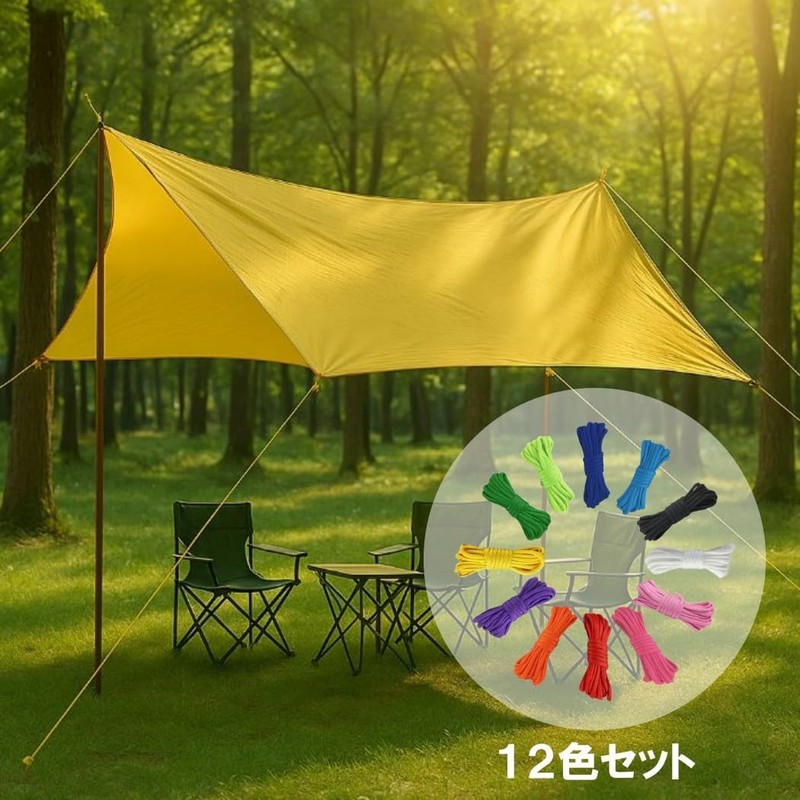 HappyHome パラコードロープ 12色セット 4mm 長さ3m アウトドア アクセサリークラフト DIY用 多用途コードロープ