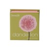 Benefit Dandelion Mini Blusher Blush / 베네피트 단델리온 미니 블러셔