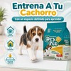 Dry Pet Tapete Entrenador para Perro de 30 Piezas
