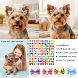 QingHan Puppy Dog Hair Bows: with Rubber Bands Small Pet Grooming Girl Doggy Accessories Gifts 60pcs (30 Pairs)