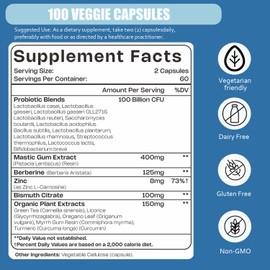 H.Pylori Support Probiotic 100 Billion CFU - Lactobacillus Reuteri, Mastic Gum, Berberine, Zinc Carnosine, Green Tea | Stomach Comfort & Gut Microbiome Care | Delayed-Release Vegan Capsules, 120 Caps