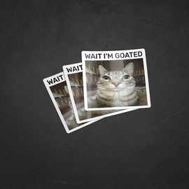 Wait i'm goated cat meme funny positivity silly sticker - Quantity: 3 Pack