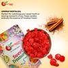 NY Spice Shop Cinnamon Sugar Free Candy - 1 Pound