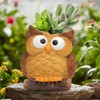 Unique Owl Little Planter Pot, Cute Succulent Indoor Flower Pot,