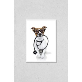 Jack Russell Dog as a Medical Veterinary Doctor with Stethoscope with Glasses, Isolated on White Background