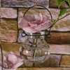 Richland Vintage Jar Mini Hanging Glass Vase Set of 12
