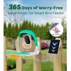 Bird Feeder with Camera | AI Recognition, Solar-Charged Video Bird