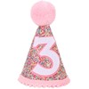 Eoopoon Rainbow Glitter Cone Birthday Crown for Boys and Girls