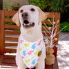 CROWNED BEAUTY Easter Dog Bandanas Reversible Large 2 Pack, Bunny