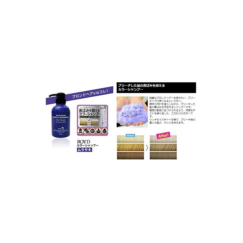 Lloyd Color Shampoo & Hair Treatment (Cover & Keep) 10.1