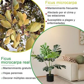 Plantas Artificiales Grandes,Árbol en Maceta simulación,Árbol Artificial para decoración de Sala de Estar,con palangana de plástico,Adecuada para...  