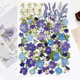100 PCS Real Dried Pressed Flowers Leaves Natural Plant Herbarium for DIY Resin Mold Jewelry Making Craft (20 Styles)-Blue