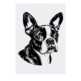 Azeeda 'Boston Terrier Portrait' Temporäres Tattoo - Hautfreundlicher & Ungiftiger Abziehbild · Wasserfest (TO00085709)