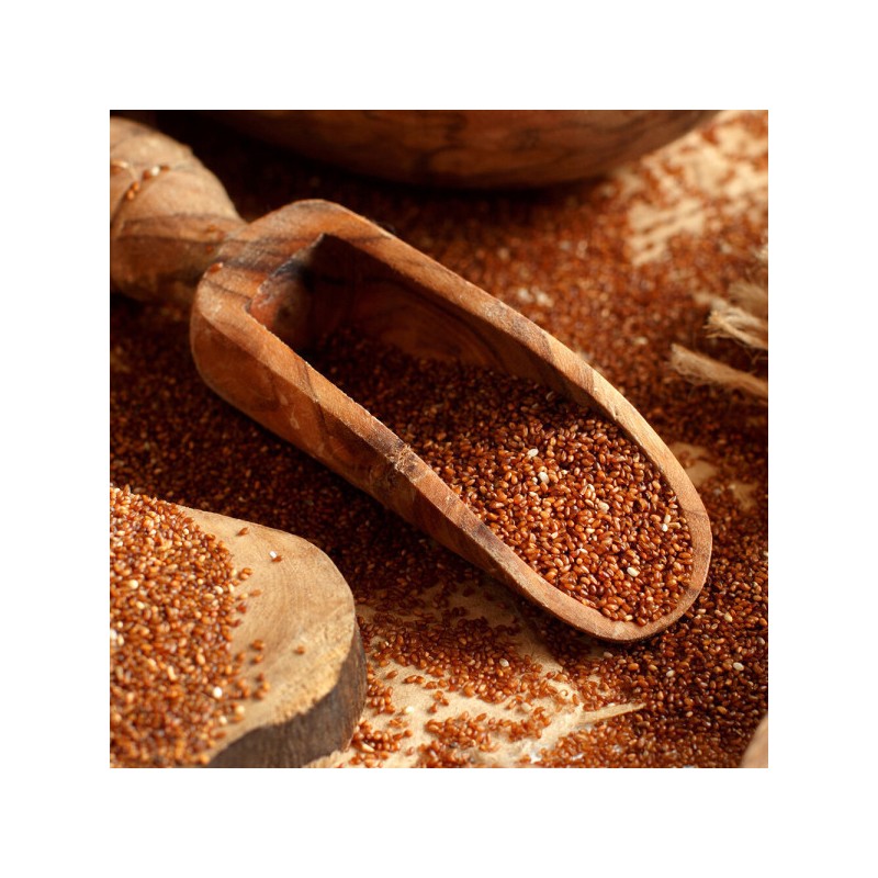 Bewell Teff Fermentation Enzyme Grain Digestive Enzyme High Potency S