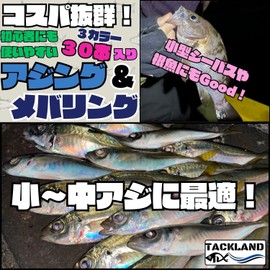 【TACKLAND】 Ajime Byte (Ajing Worms) 10-Piece Pack 3-Color Set (Total 30 Pieces) 1.4~1.5 Inches (3.7~3.8 Cm) Perfect Size for 0.4g~2.0g Jig Heads Ideal for Bottom Fish and Small Fish (Ajime Byte