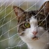 Cat Balcony Net Cat Anti-Fall Fence Net Dog Fence Nets