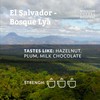 Rounton Coffee Roasters | 250g | Freshly Roasted Coffee |