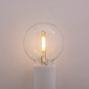 Creative Hobbies Clear LED Globe G40 Replacement Bulbs for Outdoor