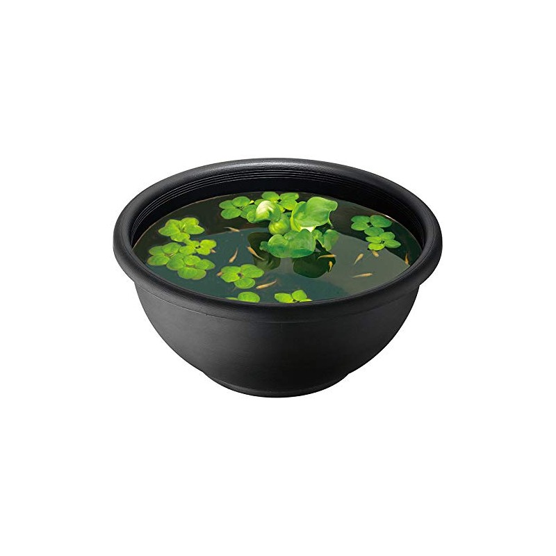 SUDO S-5622 Aisumi Star Pet Round Pot of Medaka