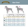 Tail Blazers Anti-Escape Dog Harness. Adjustable No Pull, Reflective, Breathable,