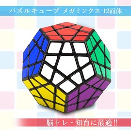 Puzzle Cube Megaminx 12 Puzzle Game 3D Game Puzzle Brain Training Brain Training Twist Puzzle