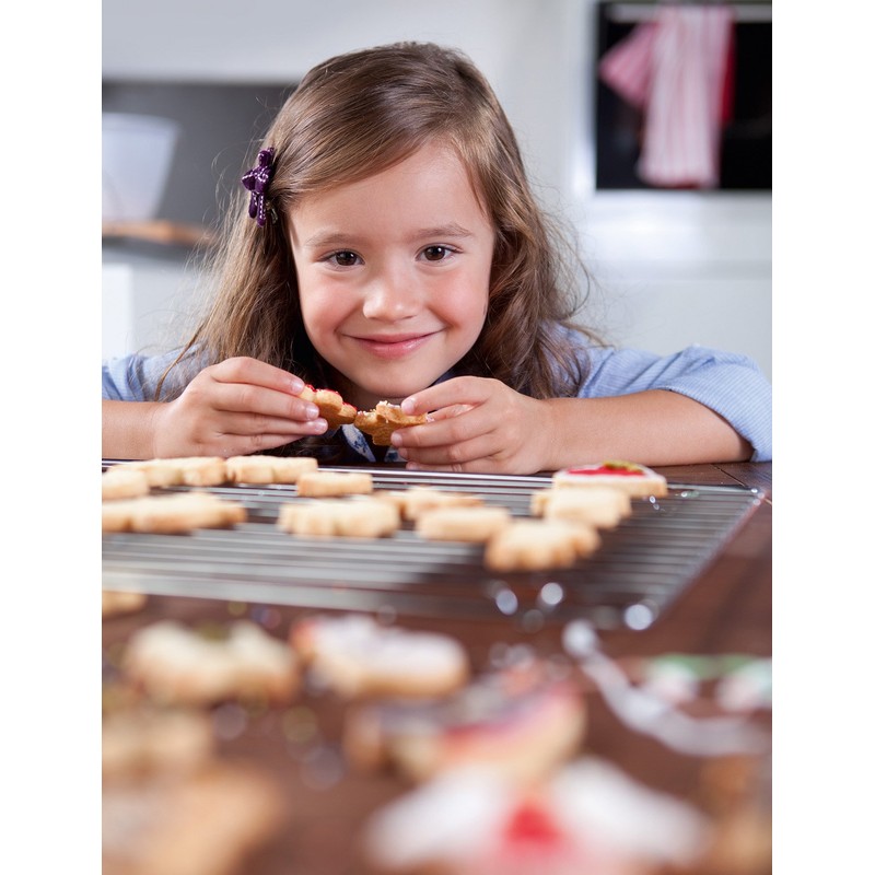 Original Kaiser Domestic Animals Cookie Cutters ~ Set of 6!