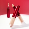 Tyrtir TirTir Glide & Hide Blurring Dual Concealer / 티르티르