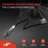 A-Premium - Sensor de oxígeno O2 compatible con Honda CR-V