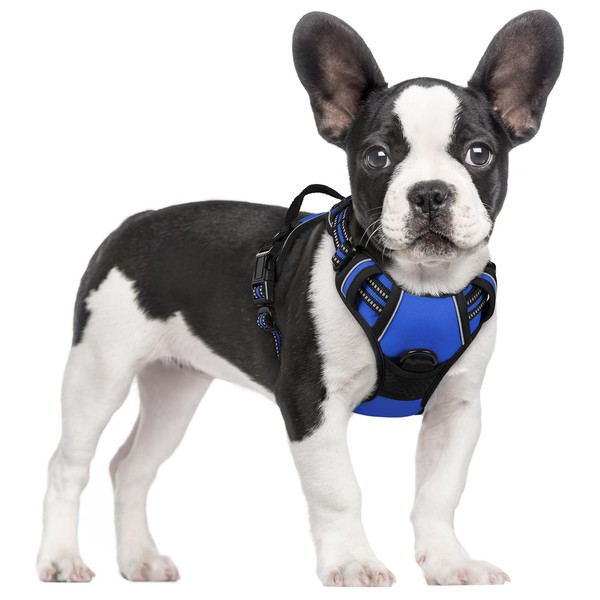 rabbitgoo Dog Harness, No-Pull Pet Harness with 2 Leash Clips,