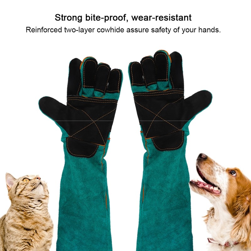 Leather Pet Training Anti bite Anti Scratch Animal Protective Safety