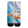 Function - Pizza Cat Surfing Fashion Socks