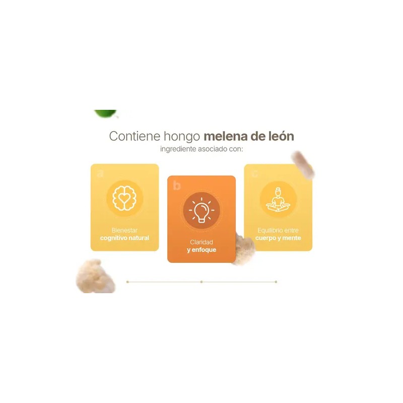 Hongo Melena de León Cápsulas Lions Mane Supplement, 1000mg, 90
