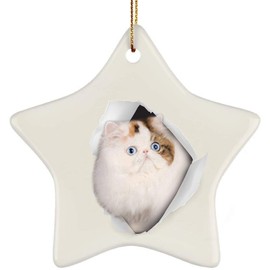Funny Persian Cat Blue Eye Coming Out of Cracked Wall Gifts 2025 Christmas Tree Ornaments Ceramic Star