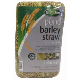Blagdon Pond Barley Straw Bale, Small, Clears Algae, Green Water and Blanketweed, Natural, for Ponds up to 4,500 Litres