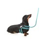Doodlebone Boomerang Dog Harness, Sapphire, 4-5