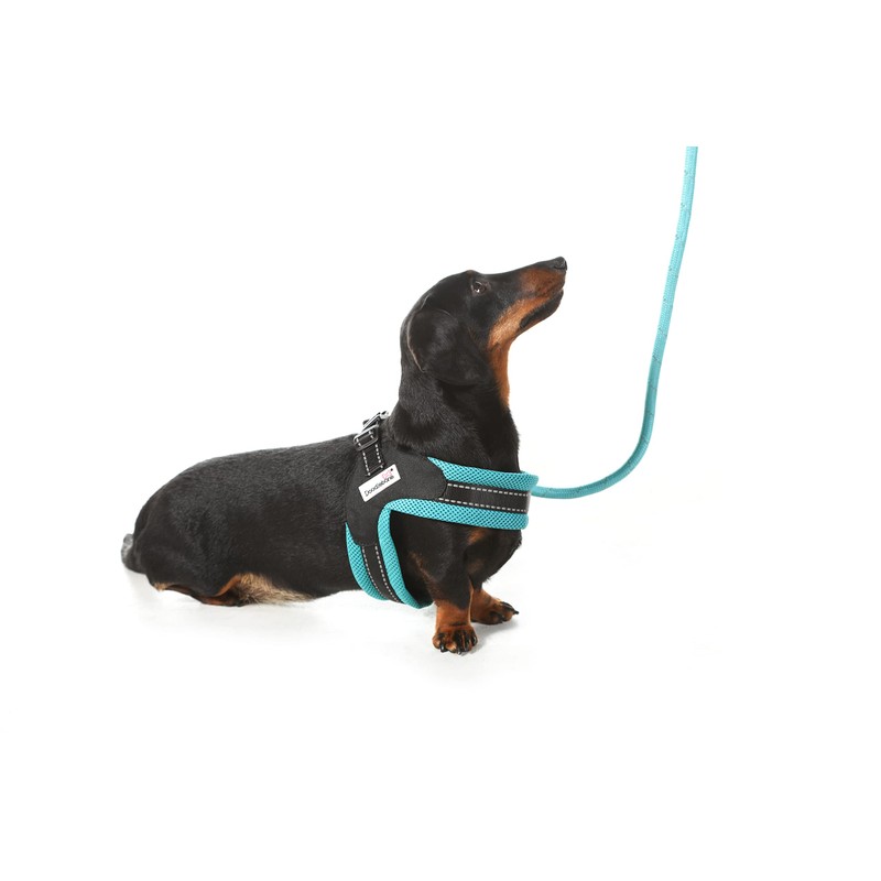 Doodlebone Boomerang Dog Harness, Sapphire, 4-5