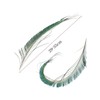 20 Pcs Peacock Feathers, Feathers, Feather, Green Feathers, Feathers for