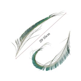 20 Pcs Peacock Feathers, Feathers, Feather, Green Feathers, Feathers for Crafting, Feather Christmas Decorations, Peacock Sword Feathers, for Craft Wedding Home Decoration