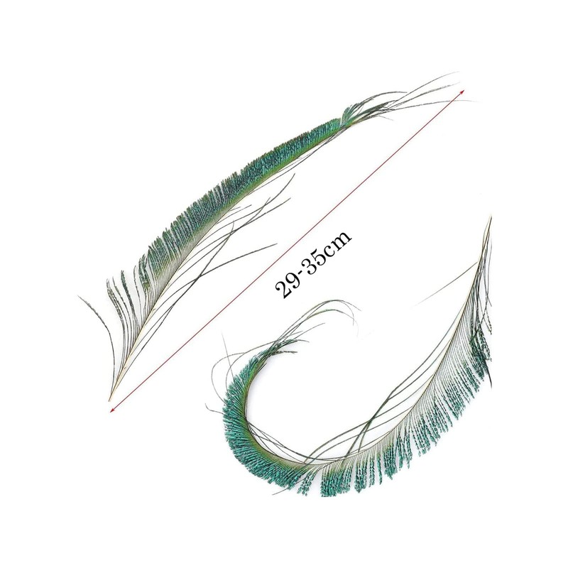 20 Pcs Peacock Feathers, Feathers, Feather, Green Feathers, Feathers for