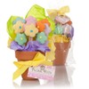 Mother's Day Cookie Bouquets (Flower Pot, Set of 12)