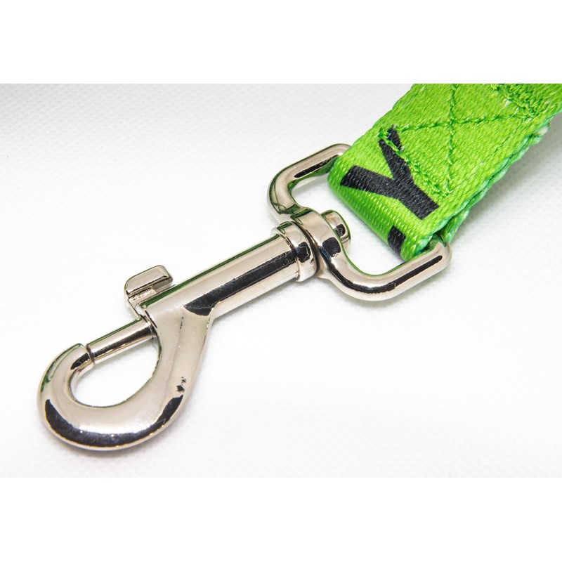 Friendly Dog Lead - Green, Durable & Padded Handle -