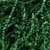 2 LB Dark Green Crinkle Paper Filler Shred Easter Grass