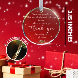 There are People in This World Who Make Things Better Wherever They Go Glass Ornaments Gifts for Women, Thank You Christmas Crystal Thanksgiving Ornaments Gifts for Christmas Tree