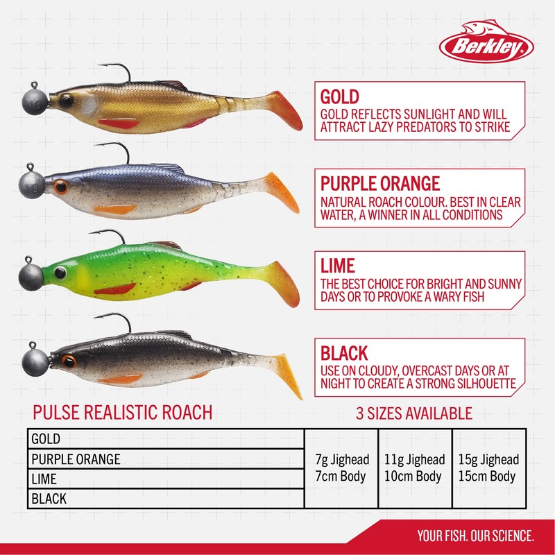 Berkley Pulse Realistic Roach Prerigged Soft Bait Shad with Jig