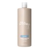Paul Mitchell Champú Hidratante Instantáneo, Hidrata el Cabello Seco, 1