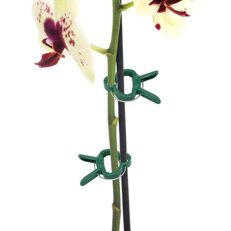 Plant Clips Plant Clips for Trellis Tomatoes, Roses, Cucumbers and
